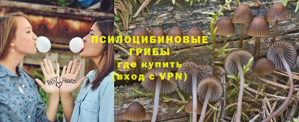 гашишное масло Богданович