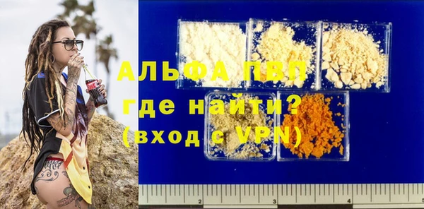 крисы Тайга