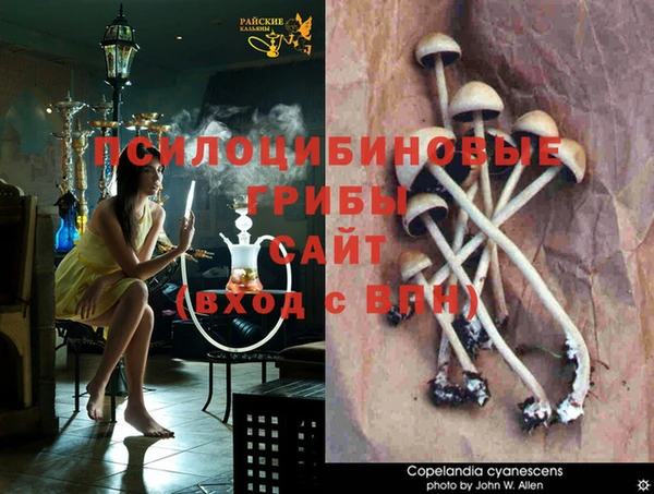 скорость Богородицк